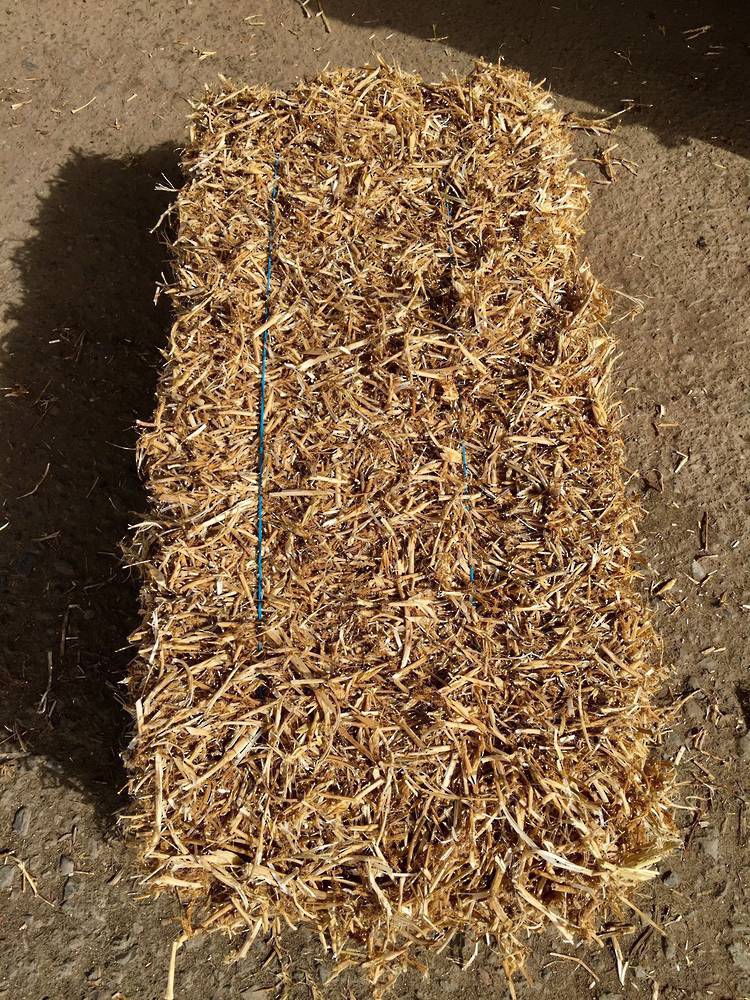 Pea Straw Bale image 0